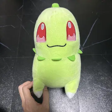 치코리타 봉제 인형