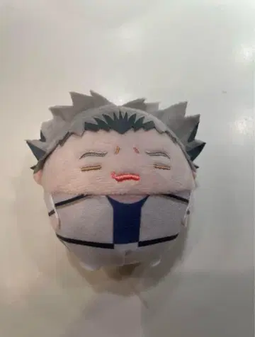 하이큐!! 후와코로린 스페셜 보쿠토 코타로