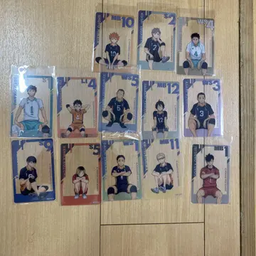 하이큐 팬 파크 쇼와 노트 클리어 카드 카라스노 고교 묶음 판매
