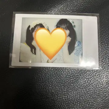 큐루린 해보세요 시마무라 우타 토유 타오 랜덤 폴라로이드