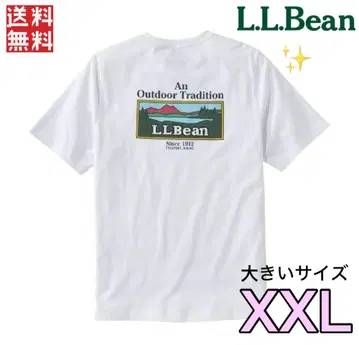 L.L.Bean 엘엘빈 핏 케어 프리 안슈링크블 티