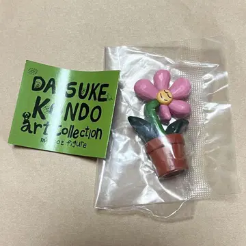 DAISUKE KONDO hana 꽃 하나