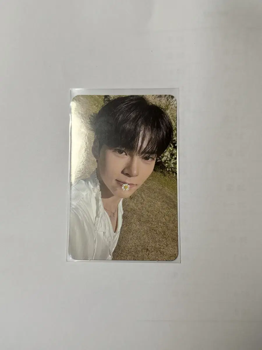 ZB1 Hanbin poca wts
