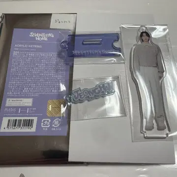 SEVENTEEN 정한 아크링 키링