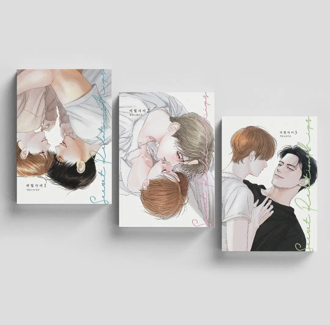 Secret Relationship Volumes 1-3 (Season 1)