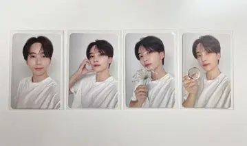 세븐틴 17 is light here 카라트판 정한