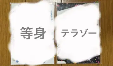 토비 유니 브로마이드 시크릿 ssr 2종