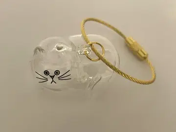 우리 아이는 아직 클리어하지 못했습니다.
