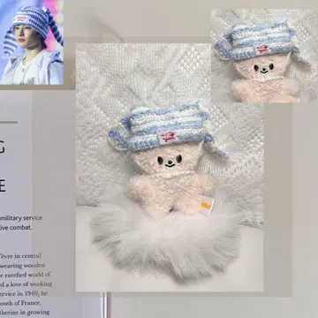 SKZOO 스키즈 아이엔 포쿠시니 봉제 인형 skzoo micro