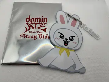 Stray Kids 새상품 스키즈 리노 Lee 비트 미니 부채 키링