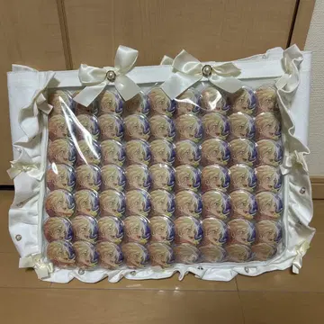 앙스타 텐쇼이 에이치 이베코레 이타백