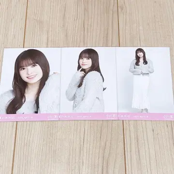 노기사카 오가와 아야 브로마이드 샤기 앙상블