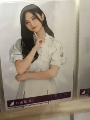 이노우에 카즈 브로마이드