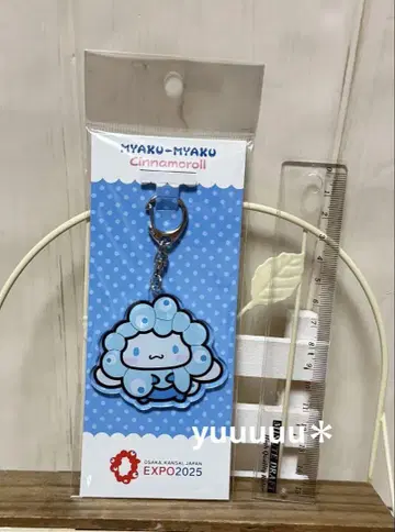 시나모롤 밋밋 아크릴 키링 엑스포 산리오 시나몬