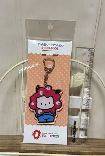 포차코 밋밋 아크릴 키링 엑스포 새상품 산리오