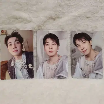 SEVENTEEN 'HAPPY BURSTDAY' 원우 트레이딩 카드 3장