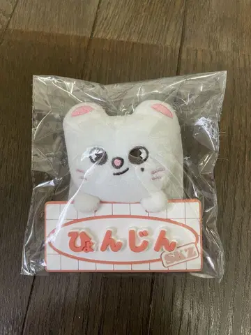 Stray Kids 현진 jiniret 네임 백 참