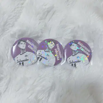 하이큐 우시지마 와카토시 올스타 캔뱃지