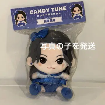 오동나무 미즈키 CANDY TUNE 치비누이 봉제 인형