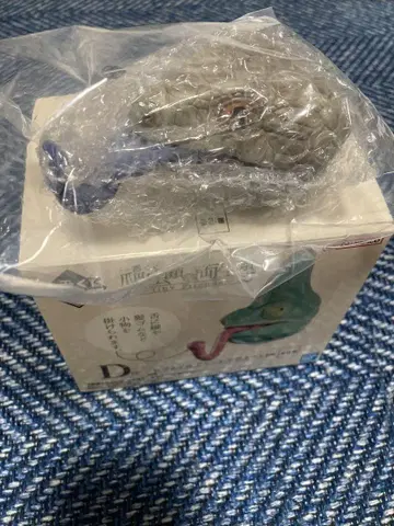 파충류 및 양서류 D상 아오지타도마뱀