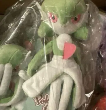 포켓몬 핏 나이트 봉제 인형 새상품