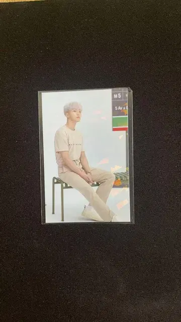 호시 아크릴 스탠드 2021 세븐틴