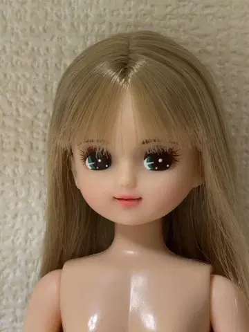 커스텀 메이 리카짱 리카짱 캐슬