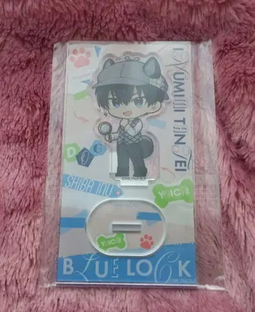 블루 록 강아지 귀 탐정 아크릴 스탠드 이사기 요이치 새상품