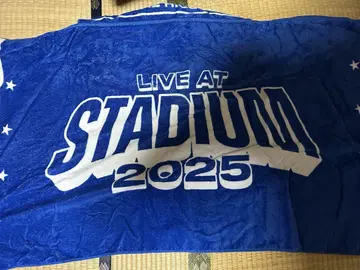 officialdism 2025 스타디움 후드 부착 타월