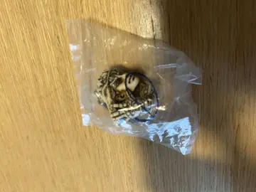 죠죠의 기묘한 모험 아라키 히로히코 원화전 네츠케 스트랩 조나단 조스터