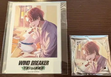 WIND BREAKER 불량들의 영웅담 소샹샹