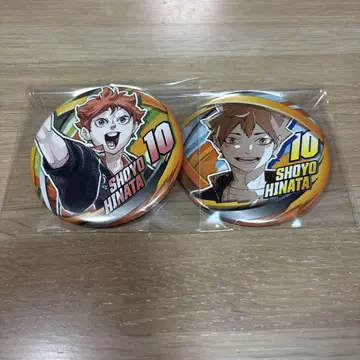 하이큐 컬렉션 캔 배치 팬 파크 히나타 쇼요
