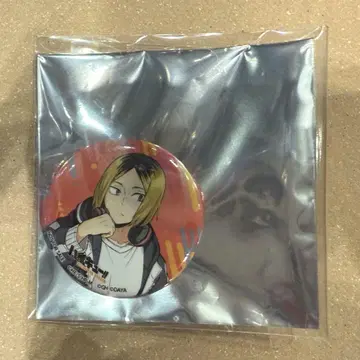 하이드리 캔뱃지 연마 하이큐 팬 파크
