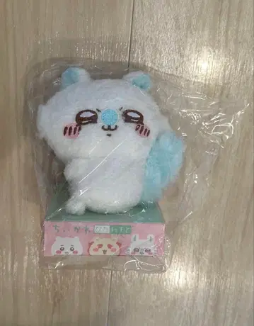 피타레스토 모몽가