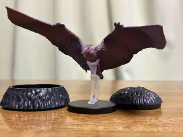 hg 라돈 2019
