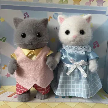 실바니안 패밀리 페르시아 고양이 아빠 엄마 실바니아