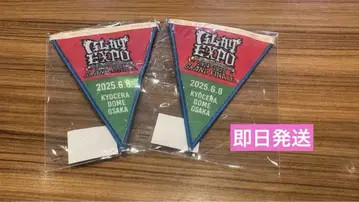 GLAY anniversary 가랜드 배지 회장에서만 한정판