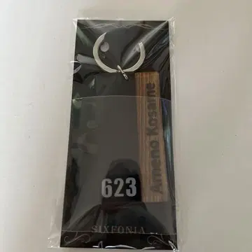 아메노 코사메 2025년 생일 기념 룸 키링