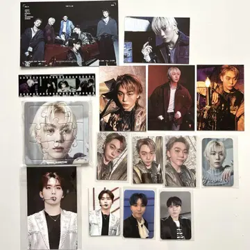 세븐틴 스콧