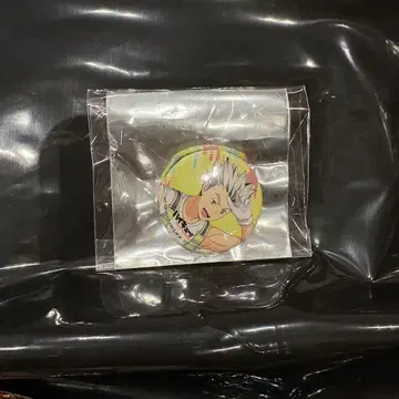 팬 파크 캔뱃지 하이드리