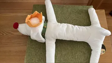 펫 킹 M