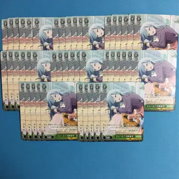 바이스 슈바르츠 대량 세트 히노모리 시즈쿠 프로젝트 세계 miku826