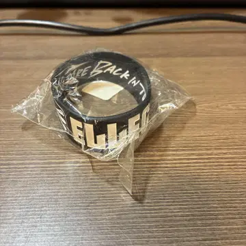 러버 밴드 ELLEGARDEN 엘르