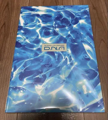 A! group D.N.A 투어 팜플렛 DNA