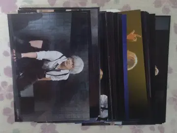 문호 스트레이독스 무대 무대 사진 랜덤 브로마이드 비전종 세트