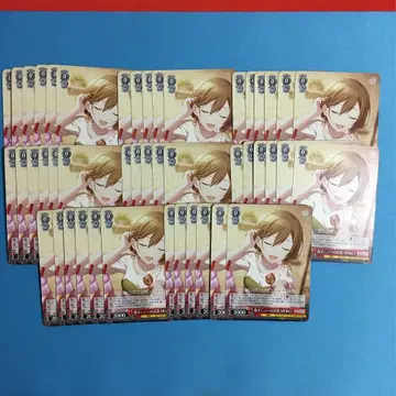 바이스 슈바르츠 대량 세트 MEIKO 프로젝트 세계 miku829