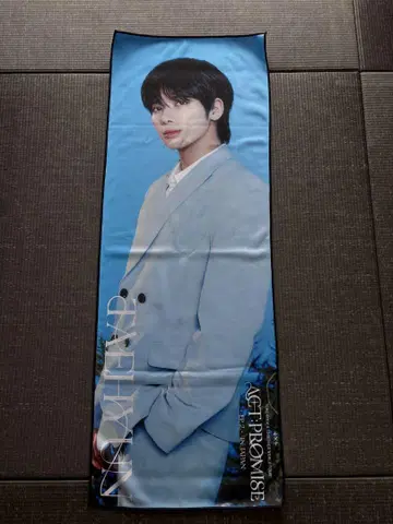 TXT 태현 promise 빅 사진 타월