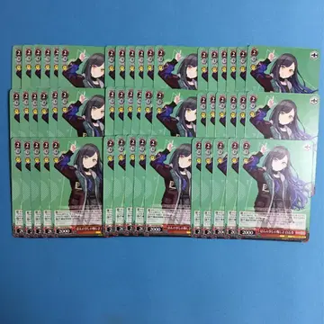 바이스 슈바르츠 대량 세트 시로이시 안 프로젝트 세계 miku833