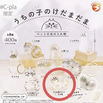 우리 아이의 케다마다마 녹 고양이 C-pla 한정판 케다마다마 가챠가챠