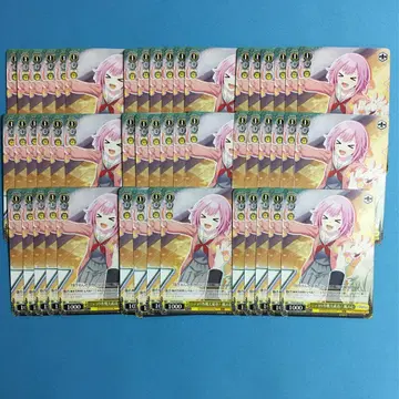 바이스 슈바르츠 대량 세트 호우 에무 프로젝트 세카이 miku836